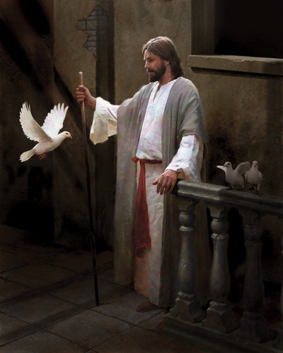 Christ and the Dove by Doc Christensen